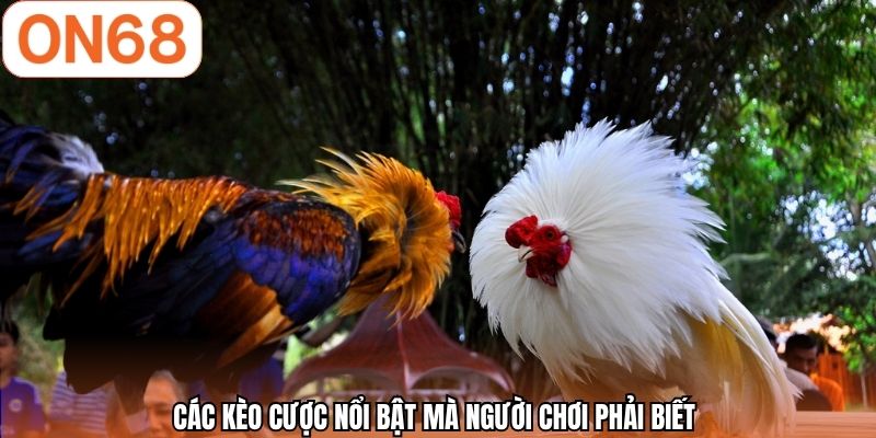 Các kèo cược nổi bật mà người chơi phải biết